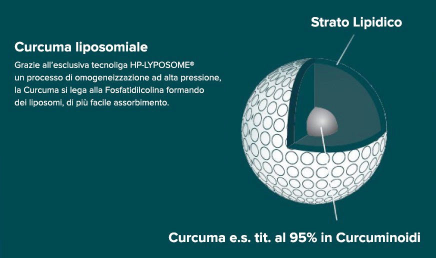 Curcuma di facile assorbimento 01